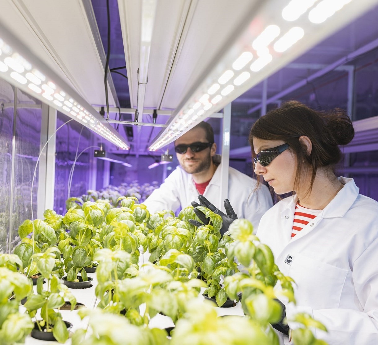 Kompleksowa uprawa hydroponiczna - grafika