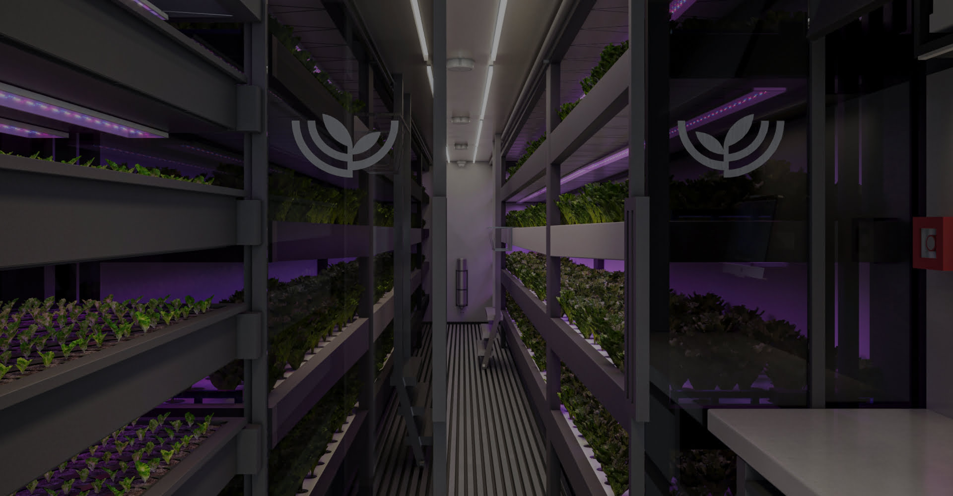 Plantainer środek 2