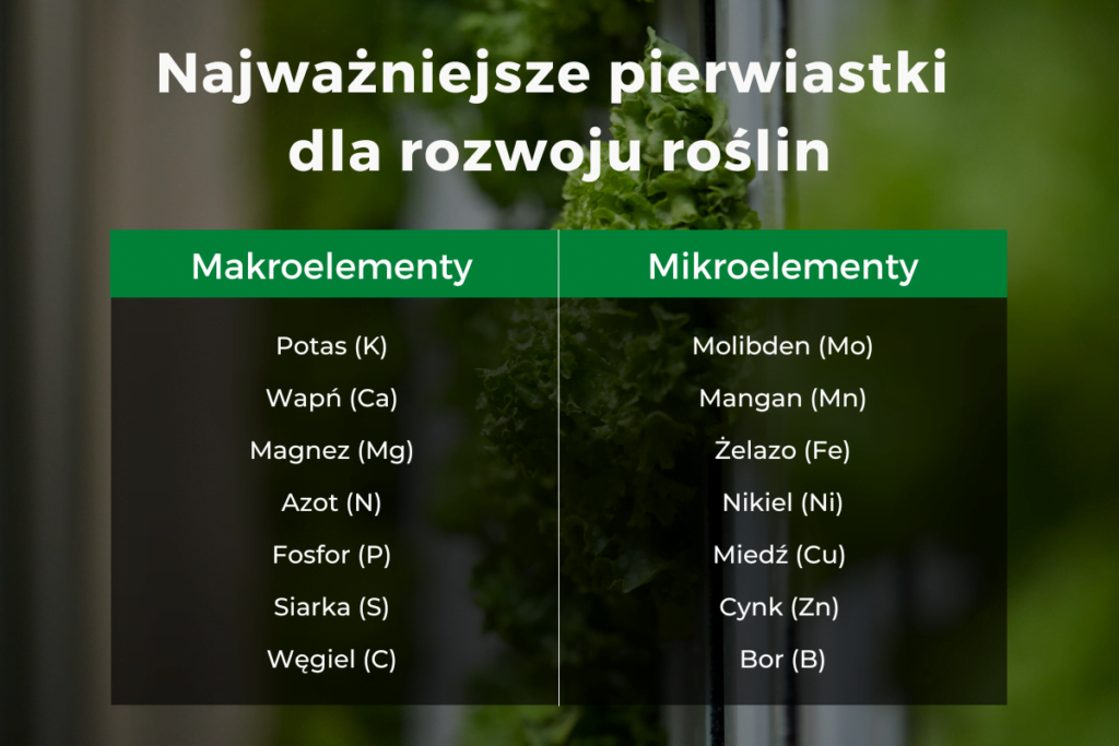 Najważniejsze pierwiastki dla rozwoju roślin