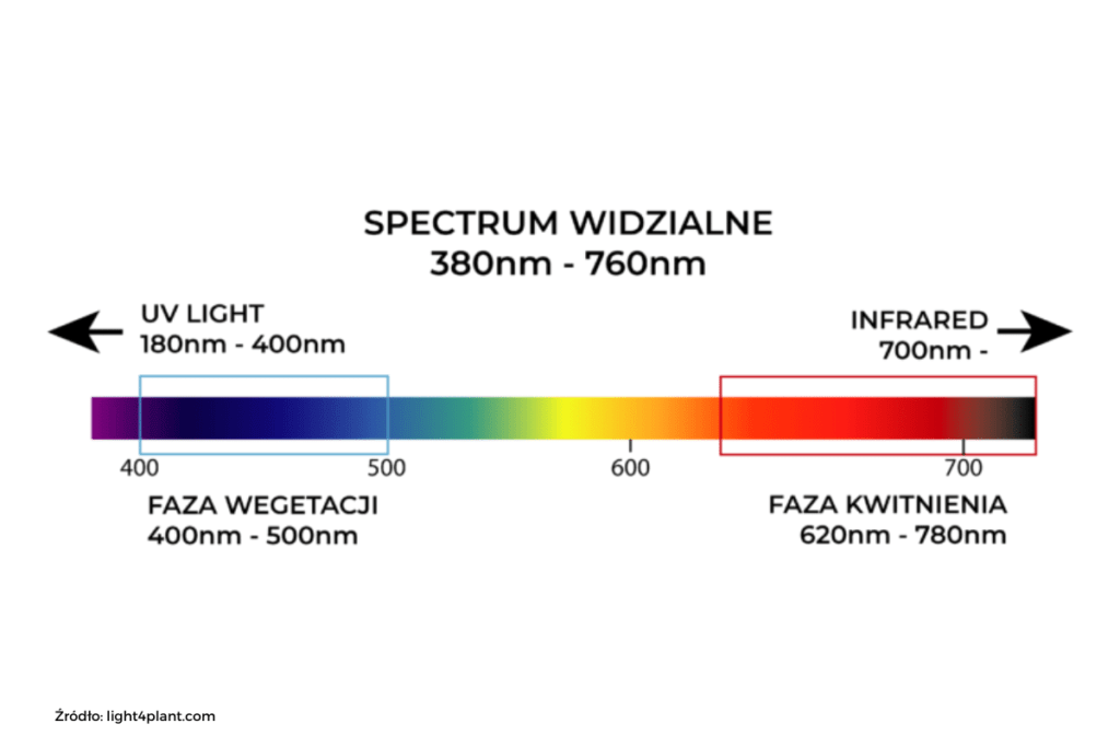 Spectrum widzialne