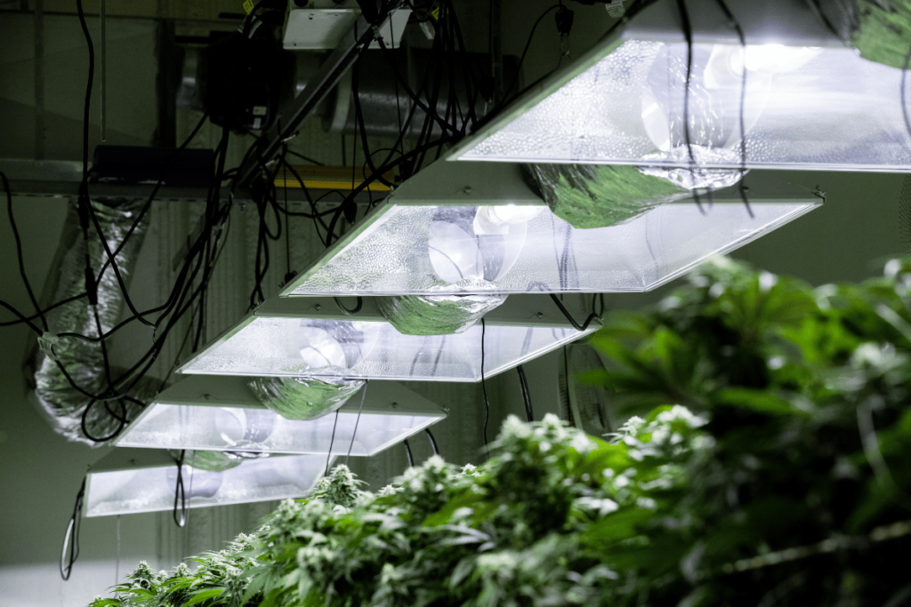 Vertical farm lights