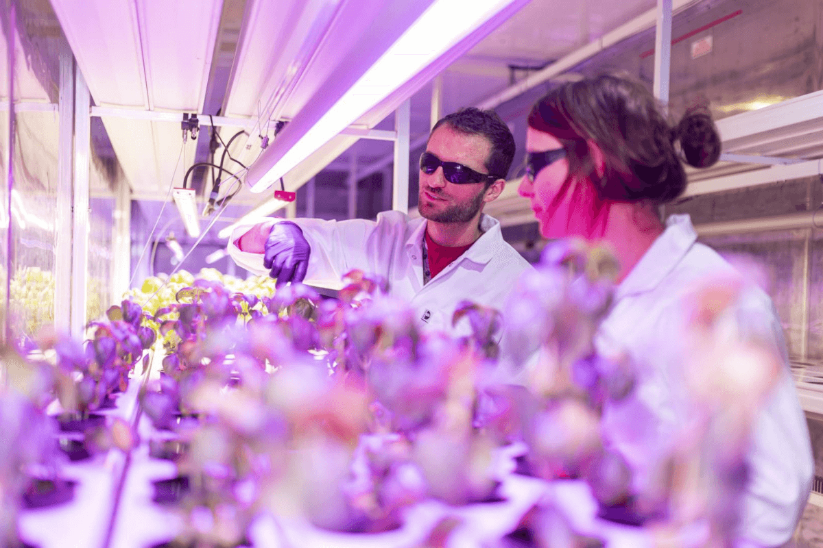 Dwójka pracowników na farmie kontenerowej