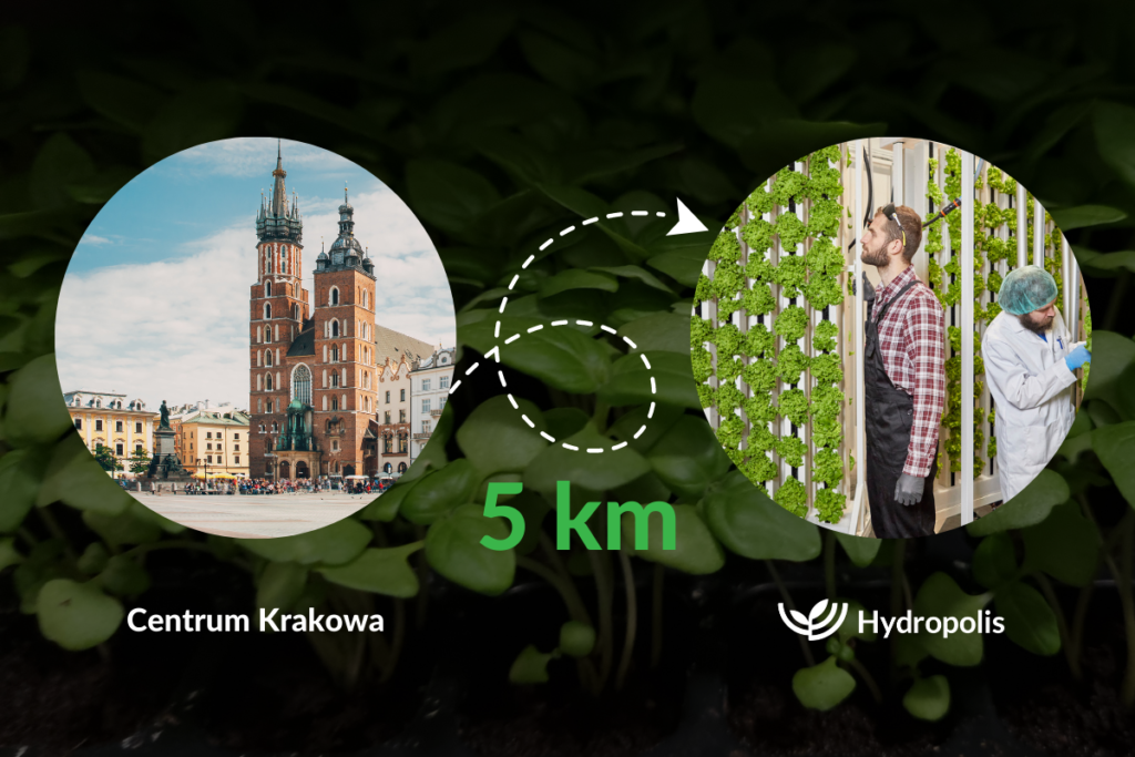 Hydropolis odległość Kraków