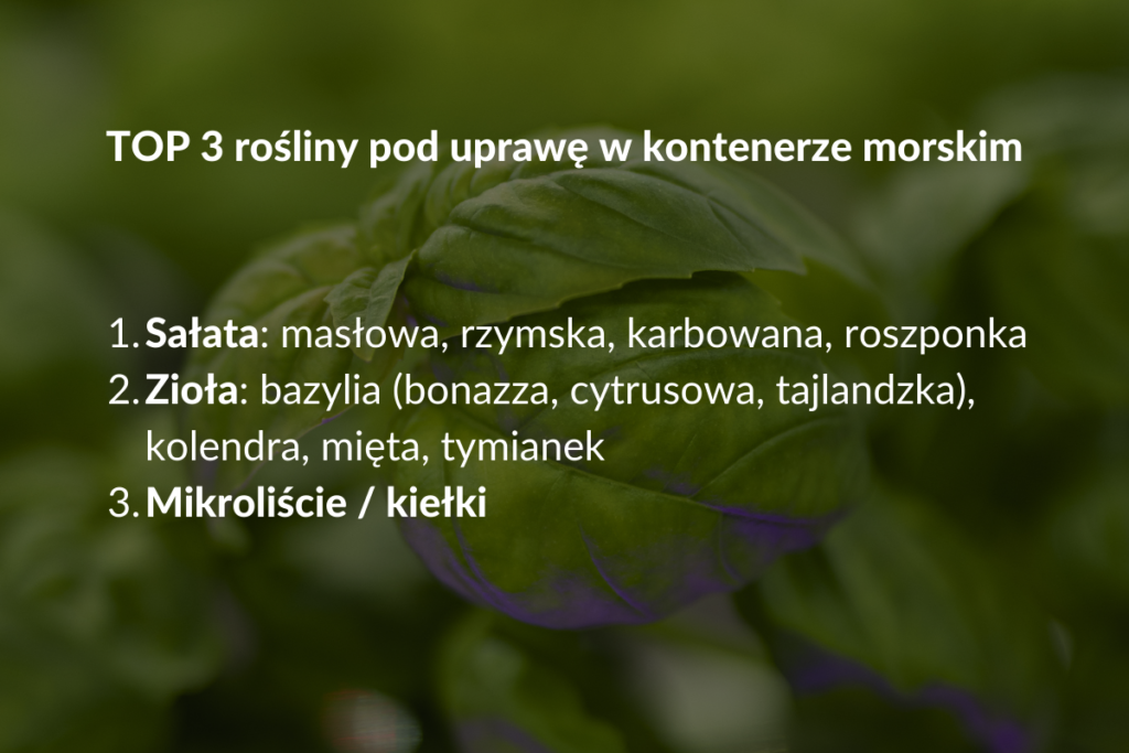 TOP 3 rośliny pod uprawę