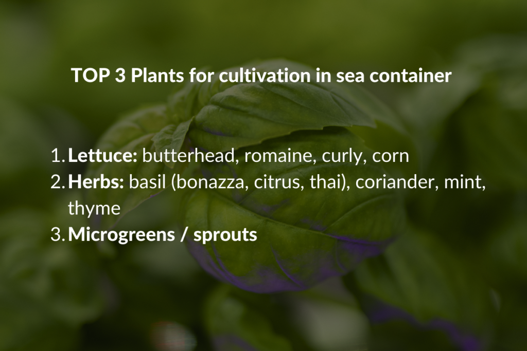 TOP 3 plants sea container